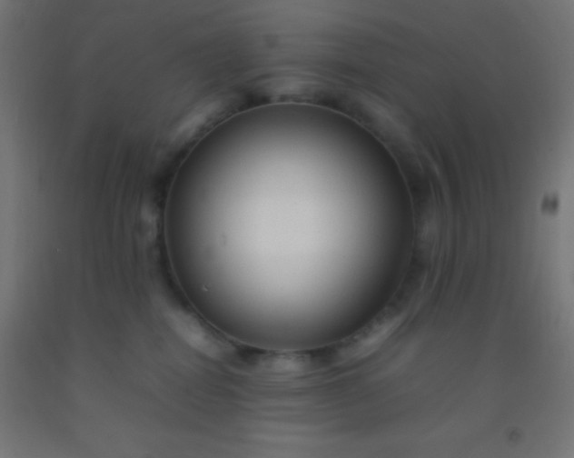 X0000092280282200709281252