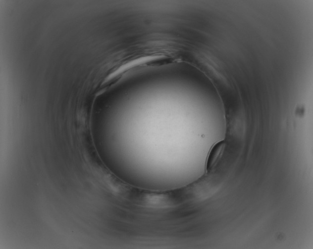 X0000092280283200709281252