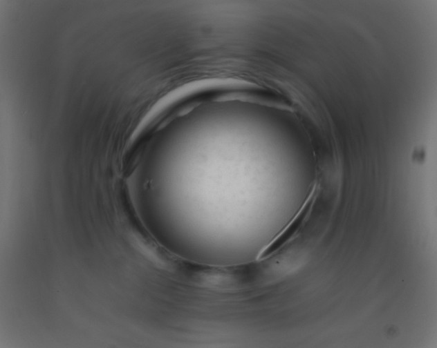 X0000092280284200709281252