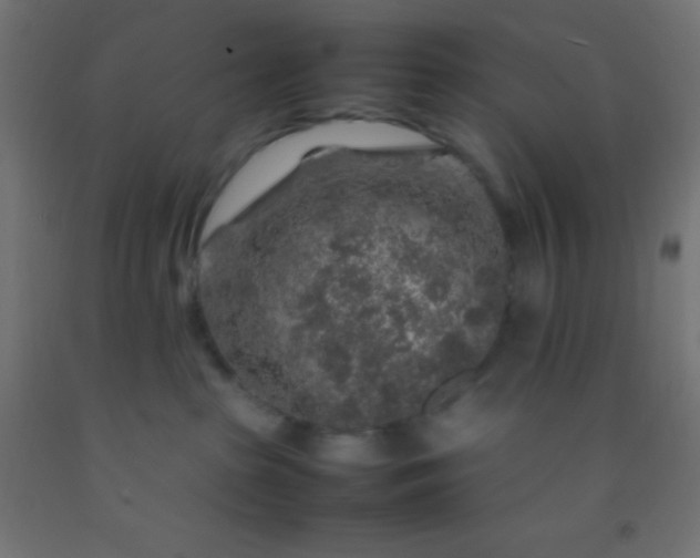 X0000092280285200709281252