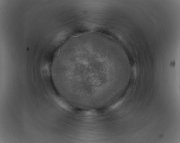 X0000092280286200709281252