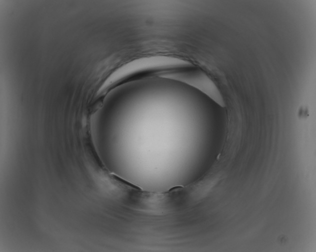 X0000092280288200709281252