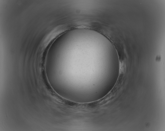 X0000092280291200709281251