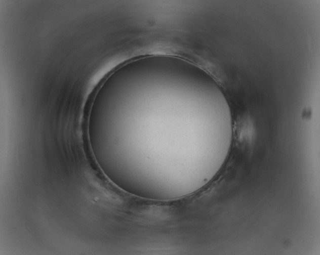 X0000092280292200709281251