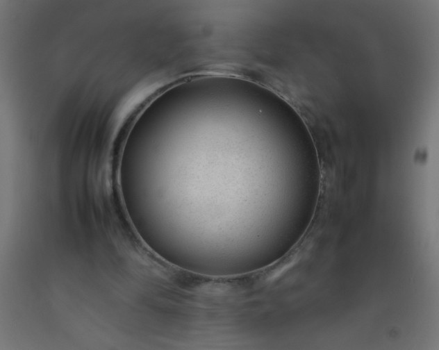 X0000092280294200709281251