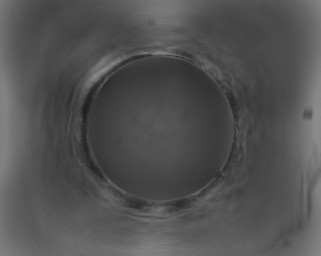 X0000092280295200709281251