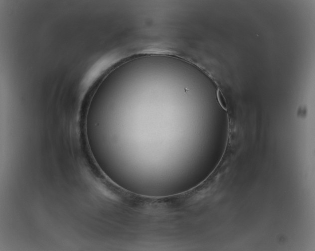 X0000092280296200709281251