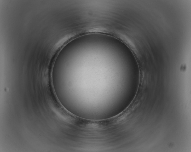 X0000092280298200709281251