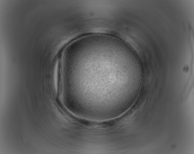 X0000092280299200709281251