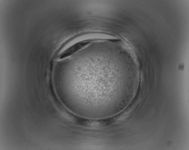 X0000092280301200709281251