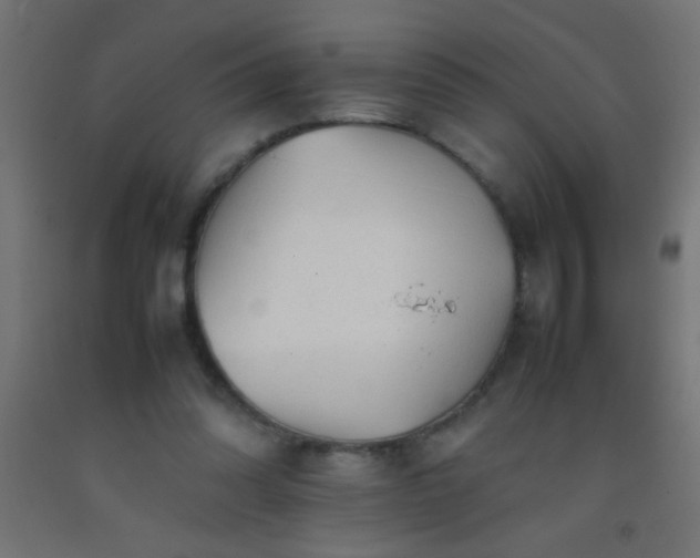 X0000092280302200709281251