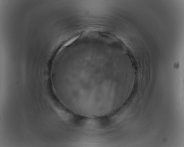 X0000092280303200709281251