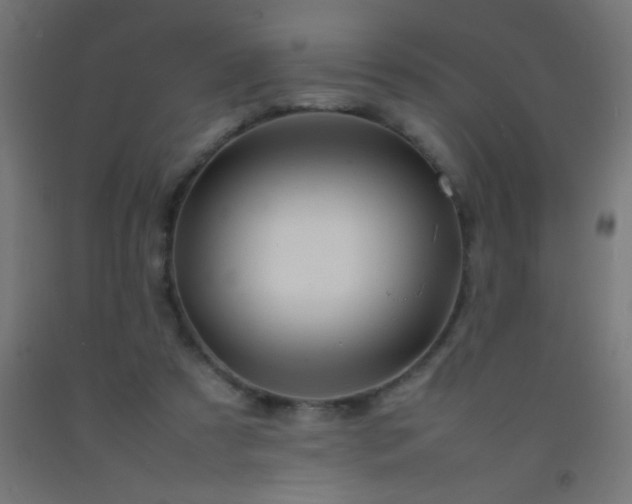 X0000092280305200709281251