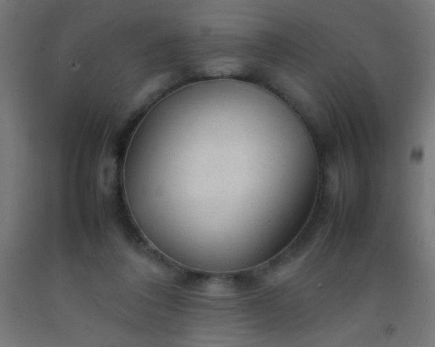 X0000092280308200709281251