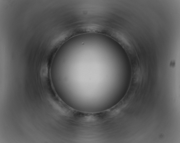 X0000092280310200709281251