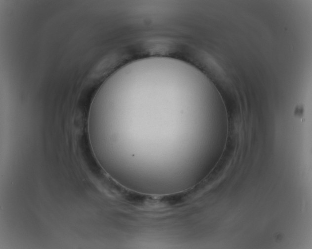 X0000092280311200709281251