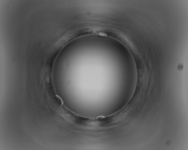 X0000092280313200709281251