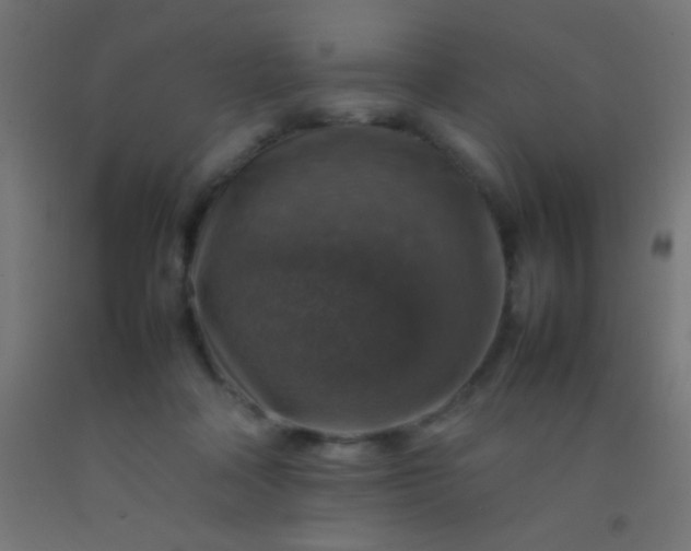 X0000092280314200709281251