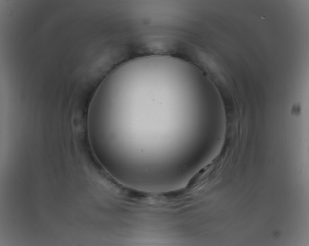 X0000092280317200709281251