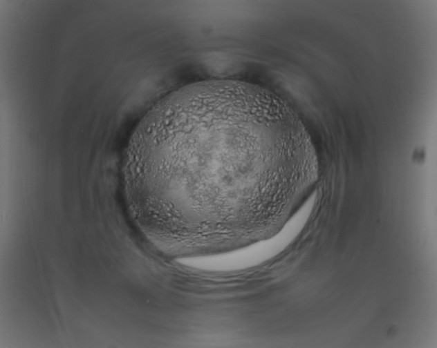 X0000092280319200709281251