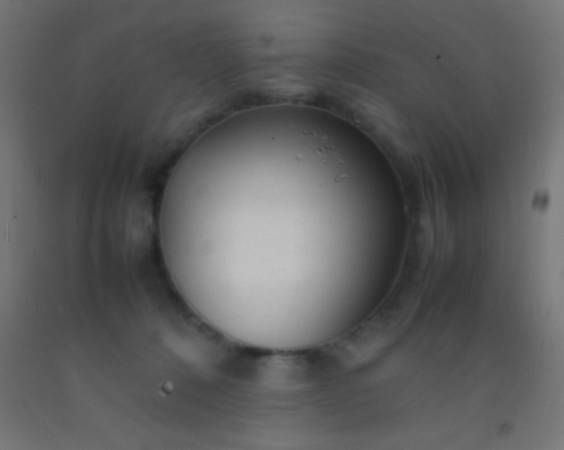 X0000092280320200709281251