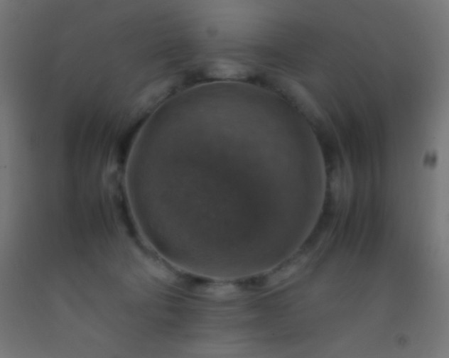 X0000092280322200709281250