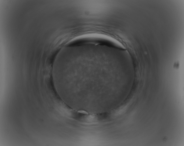 X0000092280325200709281250