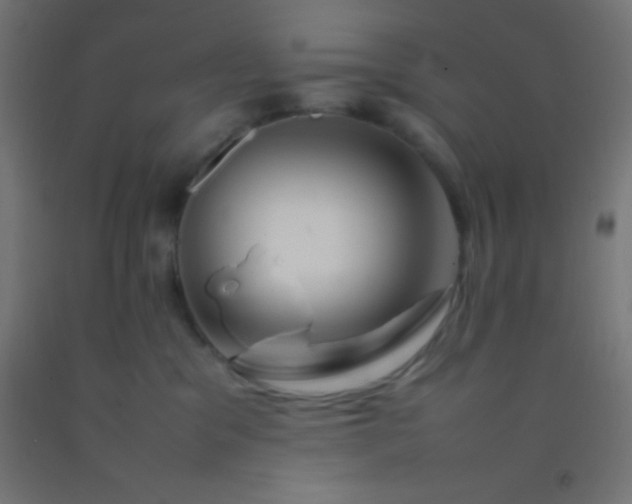 X0000092280329200709281250