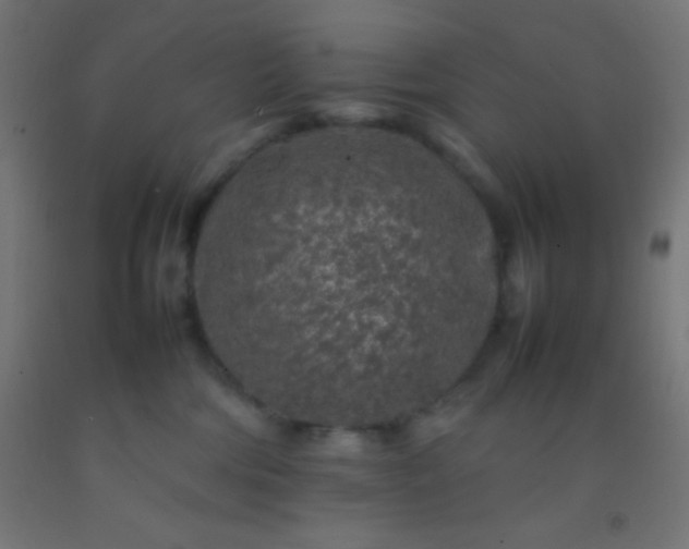 X0000092280330200709281250