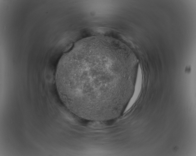 X0000092280331200709281250