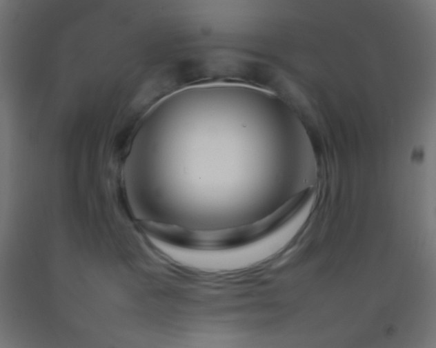 X0000092280333200709281250