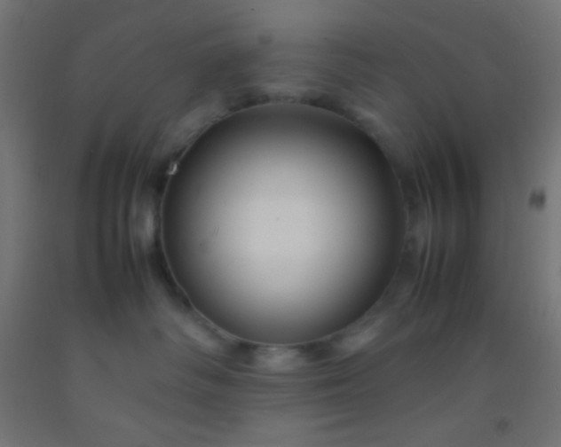 X0000092280334200709281250