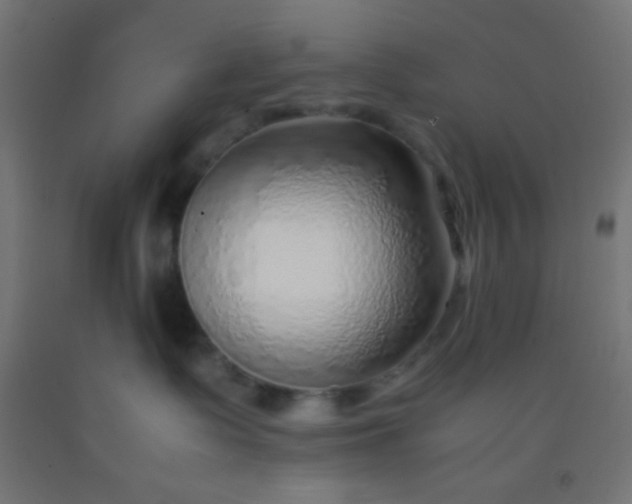 X0000092280335200709281250