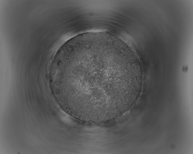 X0000092280337200709281250