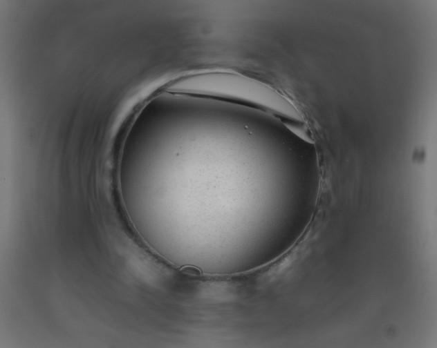 X0000092280342200709281250