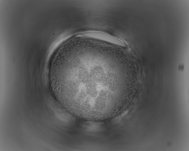 X0000092280343200709281250