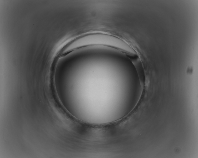 X0000092280344200709281250