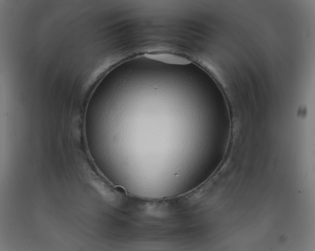 X0000092280345200709281250