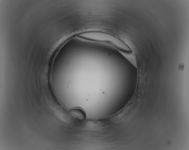 X0000092280346200709281250