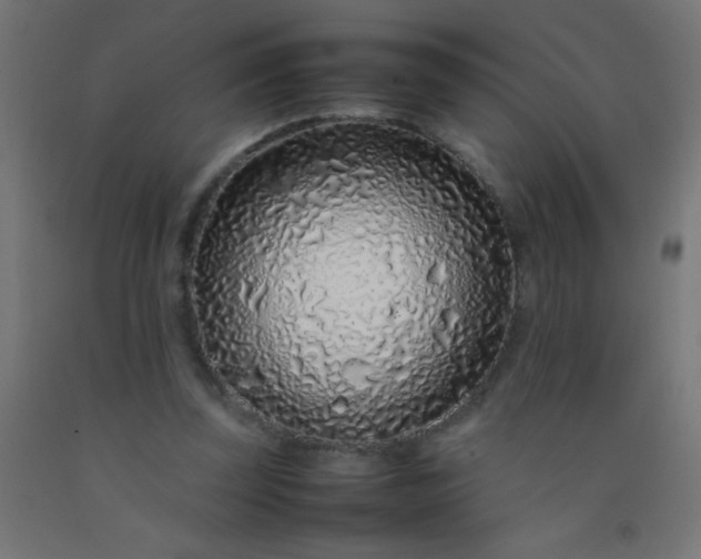 X0000092280347200709281250