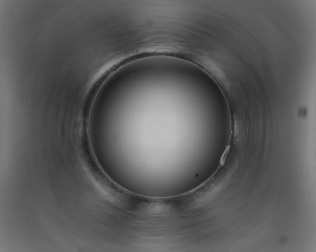 X0000092280348200709281250