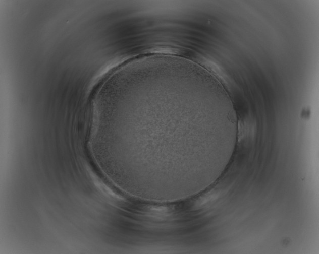 X0000092280349200709281250