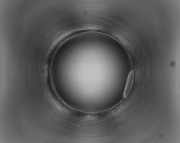 X0000092280350200709281250