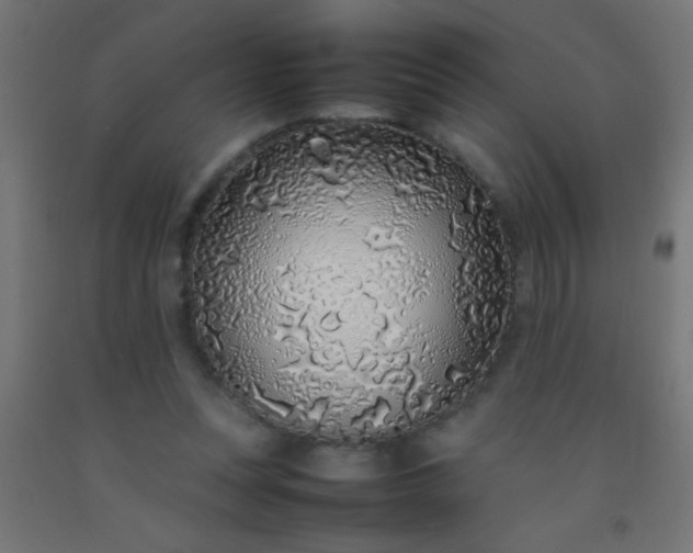 X0000092280351200709281250