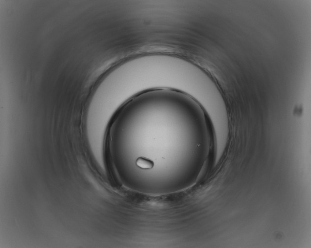 X0000092280352200709281250