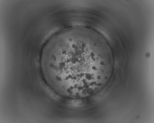 X0000092280353200709281250