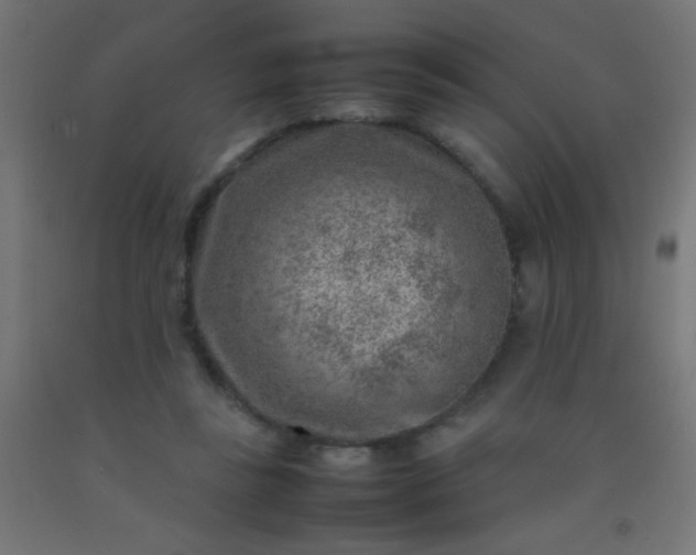 X0000092280355200709281250