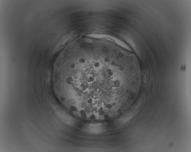 X0000092280357200709281250