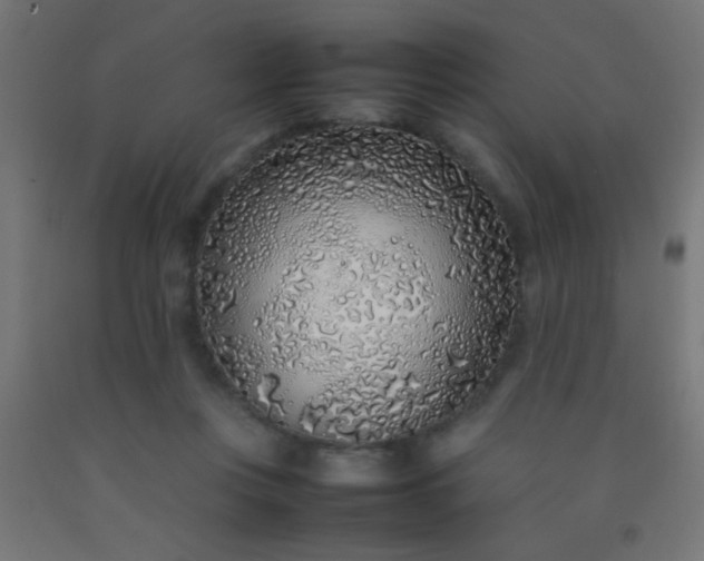 X0000092280359200709281250