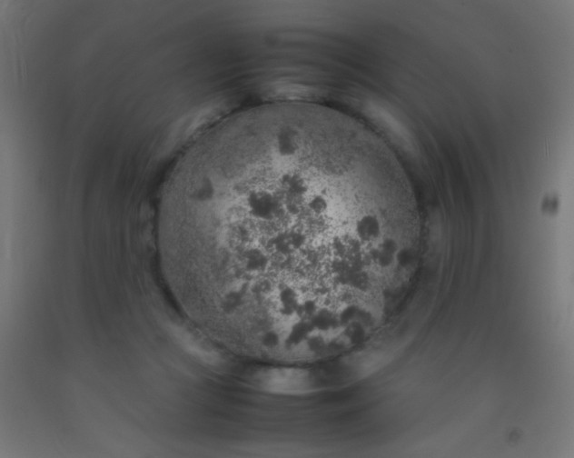 X0000092280361200709281250